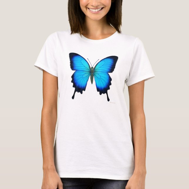 Papilio Ulysses Butterfly Ladies Crop Shirt (Front)