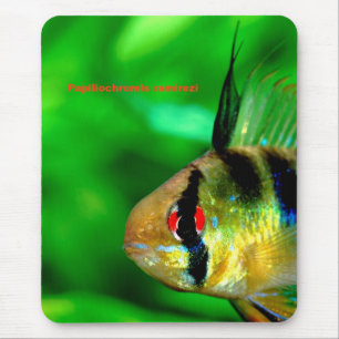 Papiliochromis ramireziのマウスパッド mouse mat