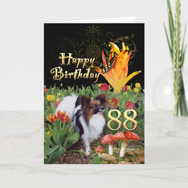 Papillion dog Happy 88 Birthday card Age specific (Front)