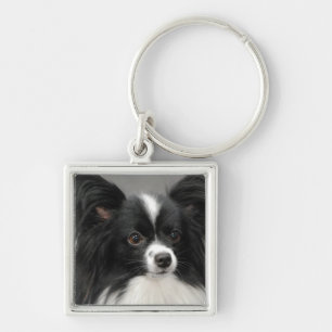 papillon-17.jpg key ring