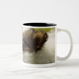 Papillon 2 Two-Tone coffee mug