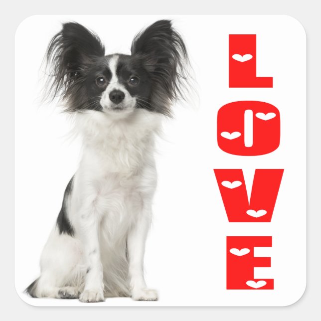 Papillon Black And White Puppy Dog - Love Puppies Square Sticker (Front)