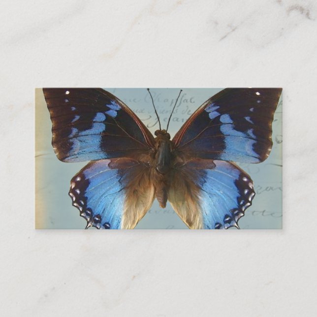 Papillon bleu business card (Front)