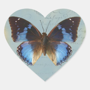 Papillon bleu heart sticker