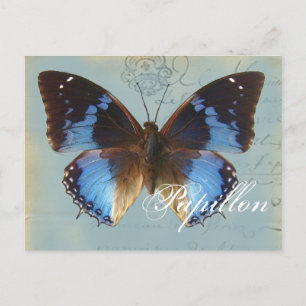 Papillon bleu postcard