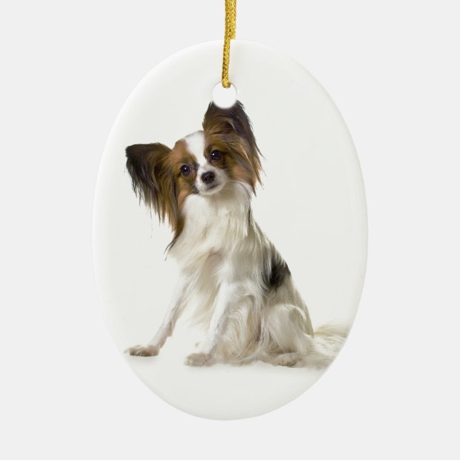 Papillon Ceramic Tree Decoration (Front)