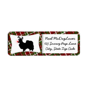 Papillon Christmas
