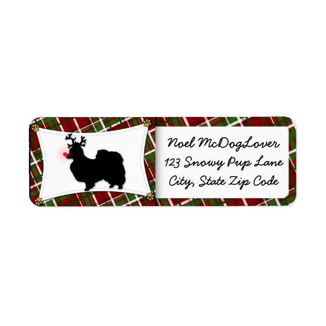 Papillon Christmas (Front)