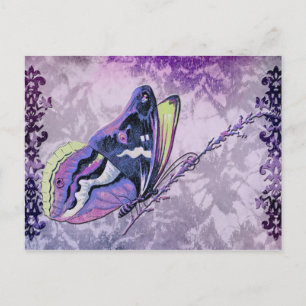 PAPILLON COLORÉ in LILAC, PURPLE and SPRING GREEN Postcard