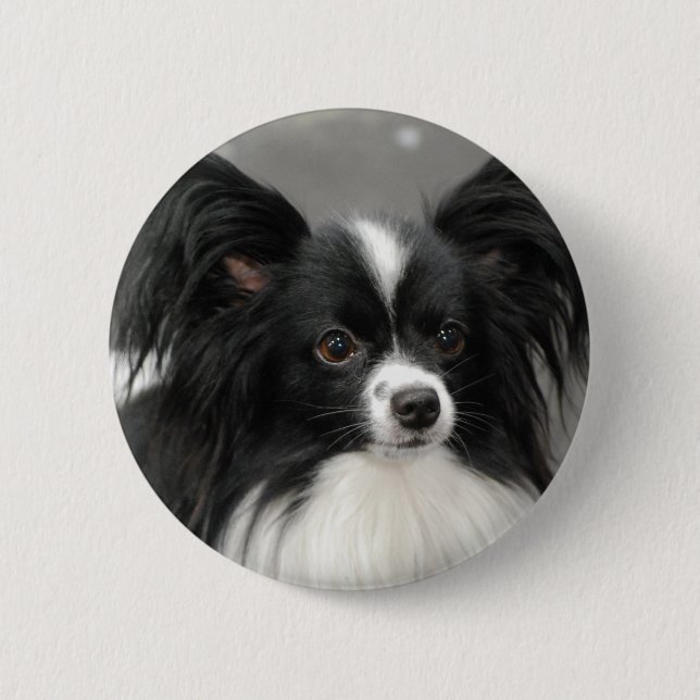 Papillon Dog  Button (Front)