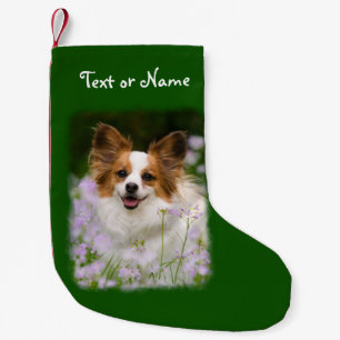 Papillon Dog Cute Pet Photo - Personalised Santa Small Christmas Stocking