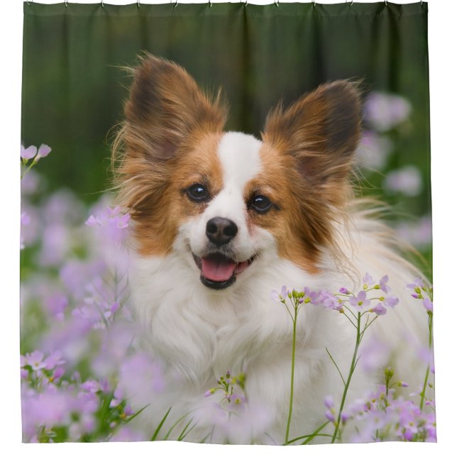 Papillon Dog Cute Portrait, Tub Shower Curtain (Front)