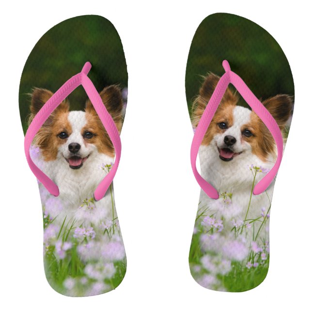 Papillon Dog Cute Romantic Portrait Pet Photo - Flip Flops (Footbed)