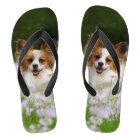 Papillon Dog Cute Romantic Portrait Pet Photo -