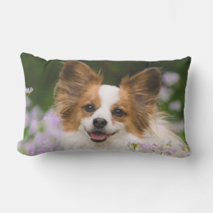 Papillon Dog Cute Romantic Portrait Photo  Outside Outdoor Cushion
