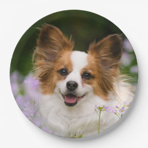 Papillon Dog Cute Romantic Portrait Photo - Paper Plate