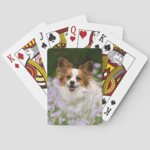 Papillon Dog Cute Romantic Portrait Photo - Playing Cards