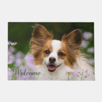 Papillon Dog Cute Romantic Potrait Photo - Welcome