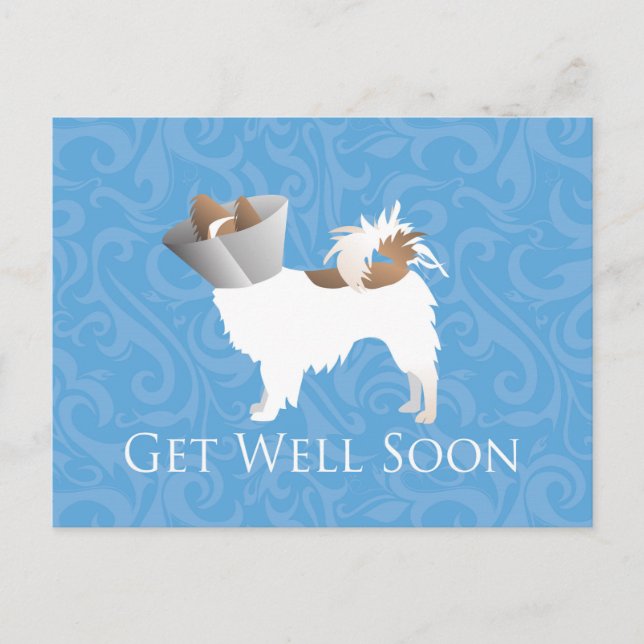 Papillon Dog Get Well Soon Design Postcard (Front)