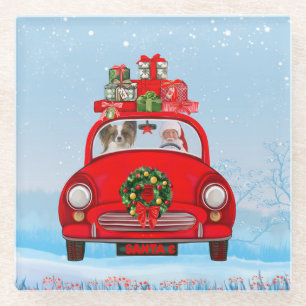 Papillon Dog In Car With Santa Claus Glass Coaster