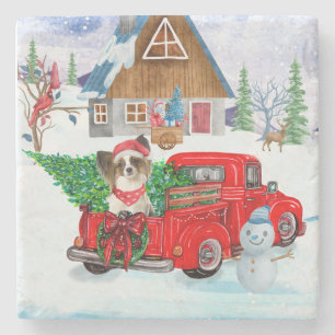 Papillon Dog In Christmas Delivery Truck Snow Stone Coaster