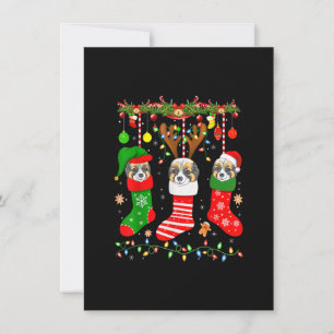 Papillon Dog In Christmas Socks Lights Xmas Invitation