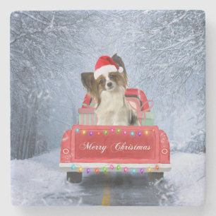 Papillon Dog in Snow sitting in Christmas Truck  Stone Coaster