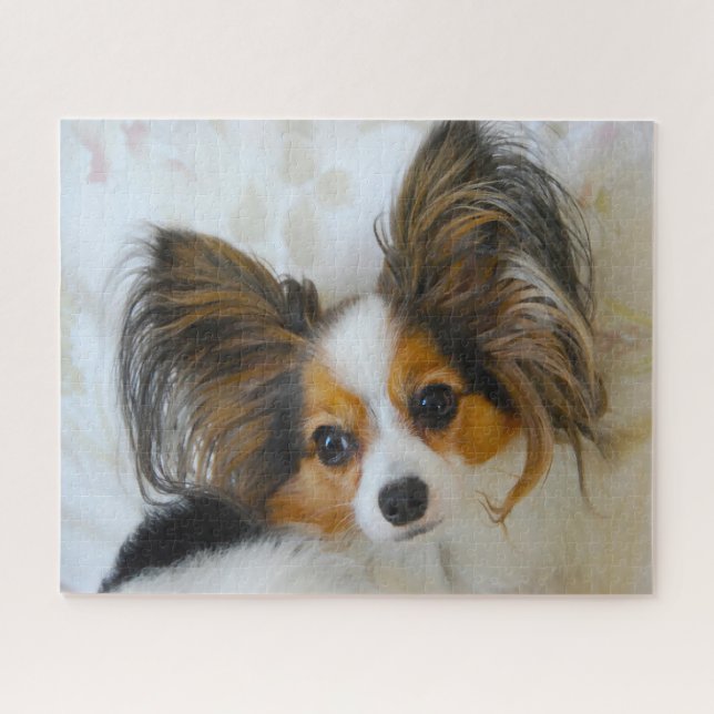 Papillon Dog. Jigsaw Puzzle (Horizontal)