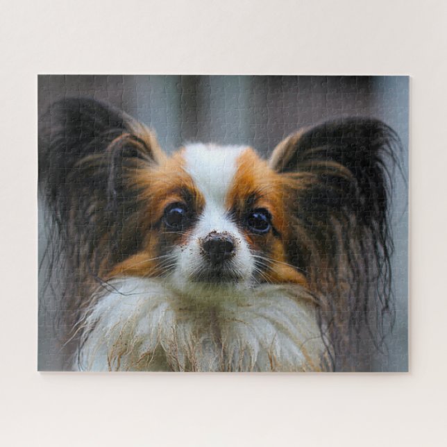 Papillon Dog. Jigsaw Puzzle (Horizontal)