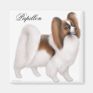 Papillon Dog Magnet
