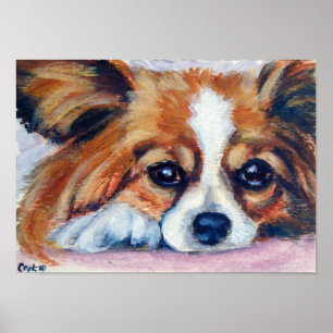 Papillon Dog Print
