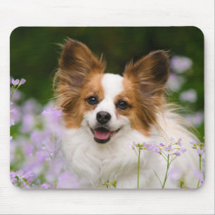 Papillon Dog Romantic Portrait Mouse Mat