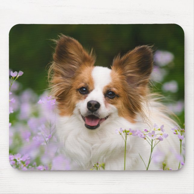 Papillon Dog Romantic Portrait Mouse Mat (Front)