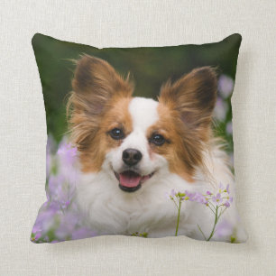 Papillon Dog Romantic Portrait, Square Cushion