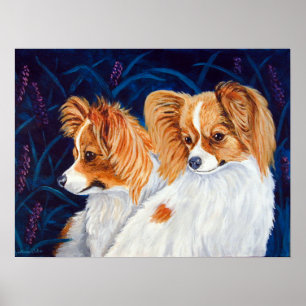 Papillon Dog Wall Print