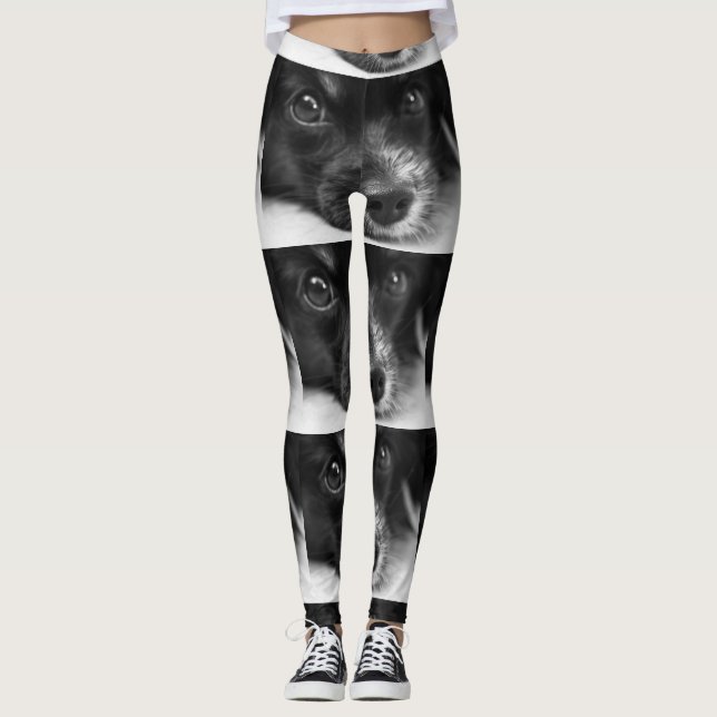 papillon face leggings (Front)