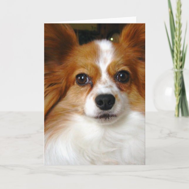 Papillon Greeting Card (Front)