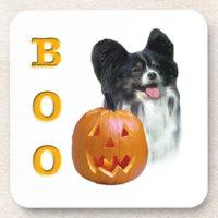 Papillon Halloween BOO