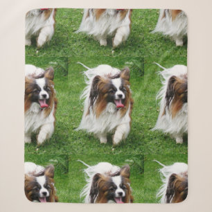 Papillon_in motion sherpa blanket