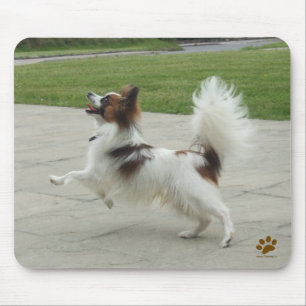 Papillon Jumping Mouse Mat