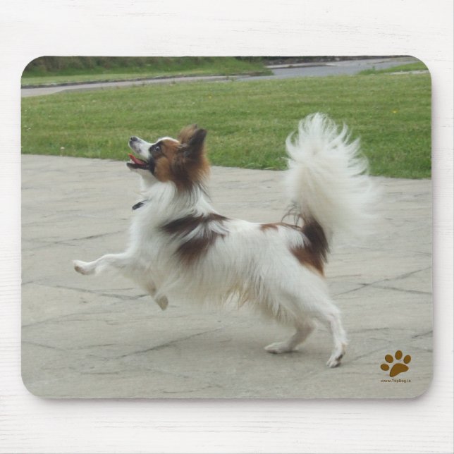 Papillon Jumping Mouse Mat (Front)
