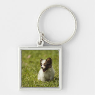 Papillon Key Ring