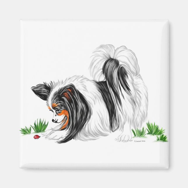 Papillon Lady Bug Dreams Magnet (Front)