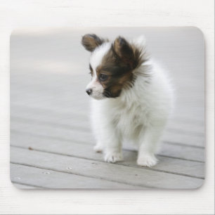 Papillon Mouse Mat