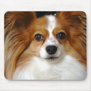 Papillon Mouse Pad