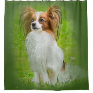 papillon,papilon,papillon dogs,papillon dog, shower curtain