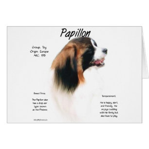 Papillon (Phalene) History Design