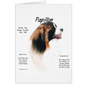 Papillon (Phalene) History Design