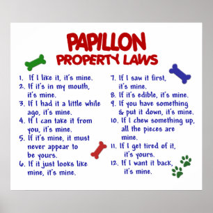 PAPILLON PL2 POSTER
