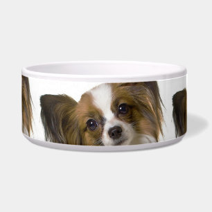 papillon.png